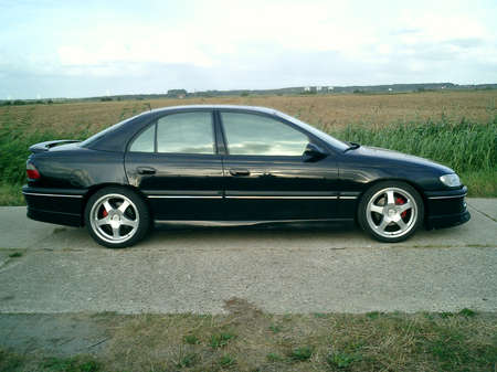 Helmalevikkeet omega b